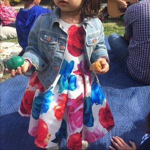 Halabaloo rose dress Sz 24 months